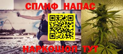дживик Кингисепп