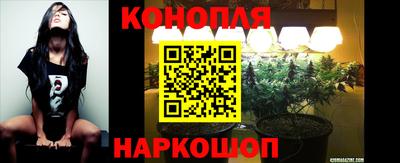 дживик Кингисепп